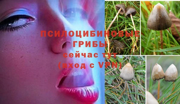 гашишное масло Алексин