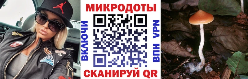 Псилоцибиновые грибы Magic Shrooms  ссылка на мегу ссылка  Южно-Сухокумск 
