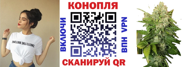 Шишки марихуана план  OMG маркетплейс  Южно-Сухокумск 